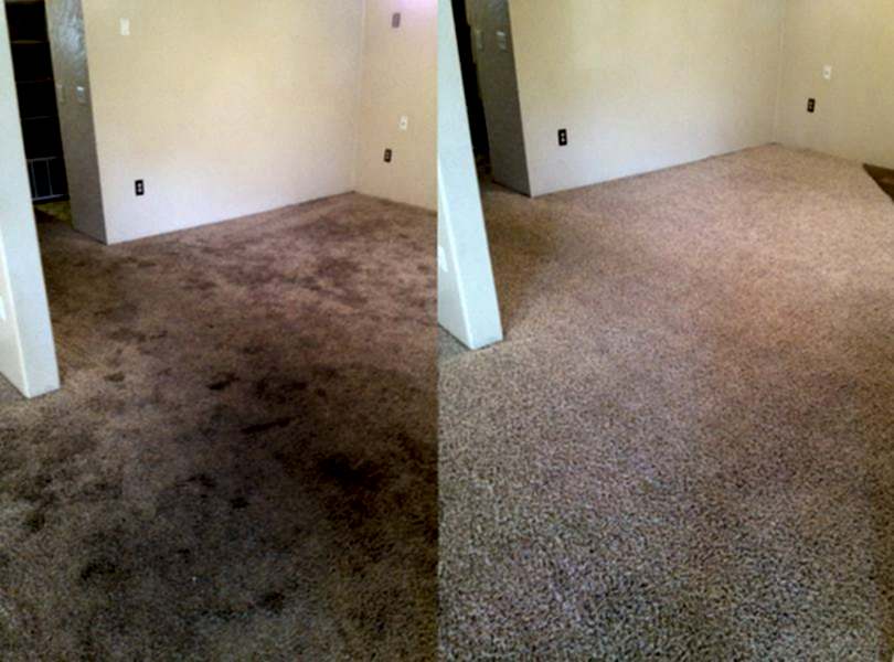 Химчистка ковролина в офисе