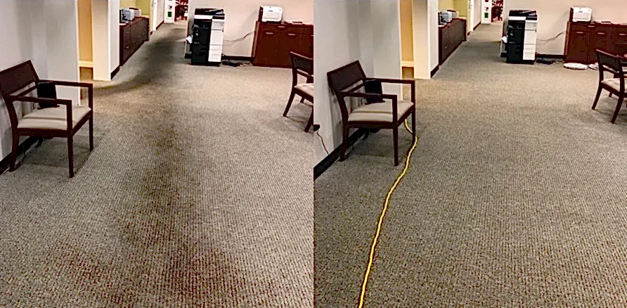 Чистка коврового покрытия в офисе