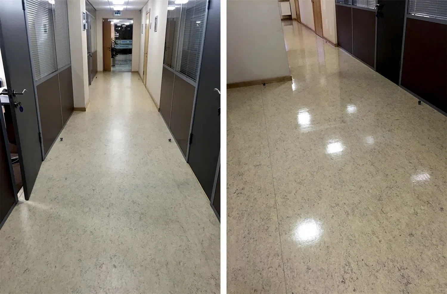 Дезинфицирующая уборка офисного помещения