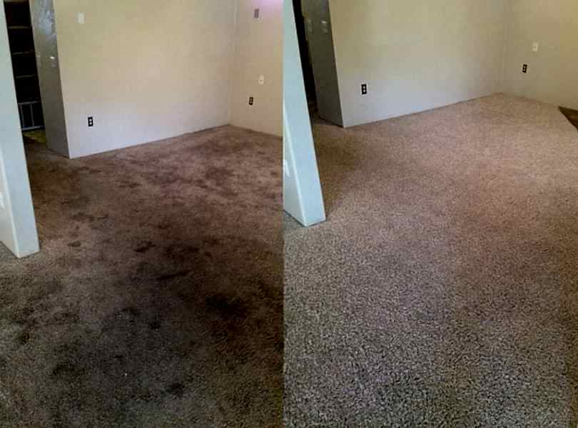 Химчистка ковролина в офисе