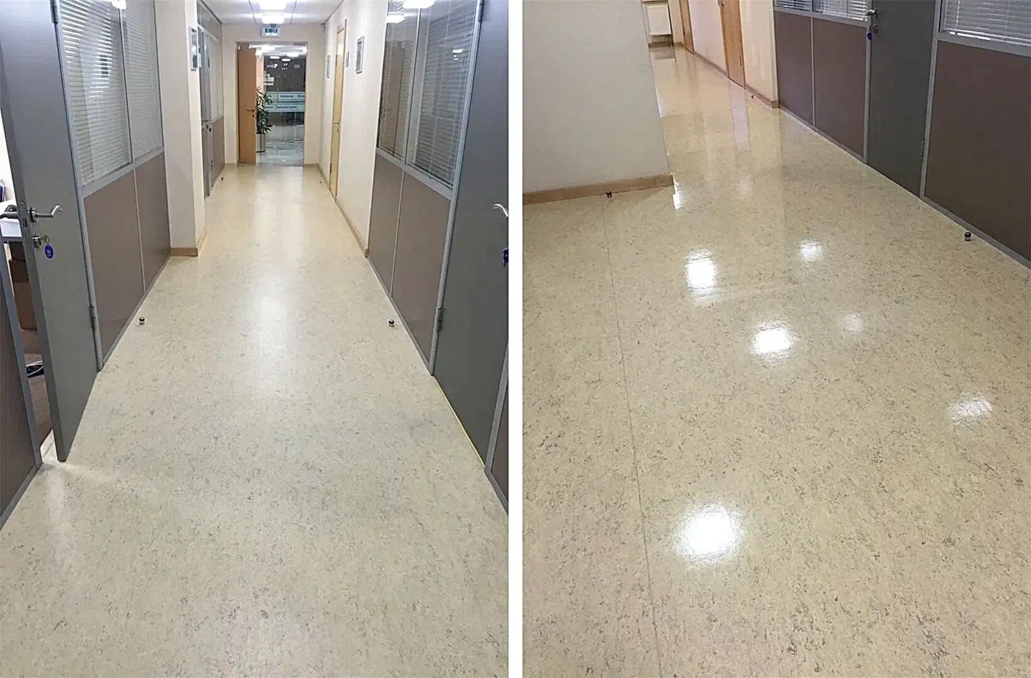 Дезинфицирующая уборка офисного помещения