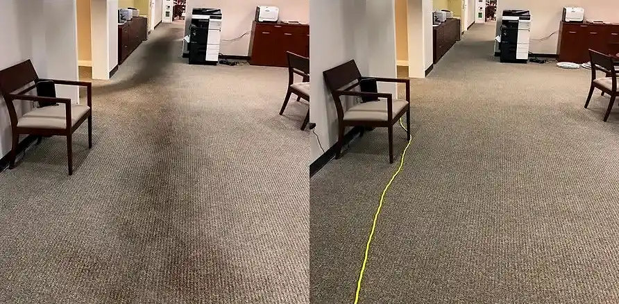 Чистка коврового покрытия в офисе Чистка коврового покрытия в офисе