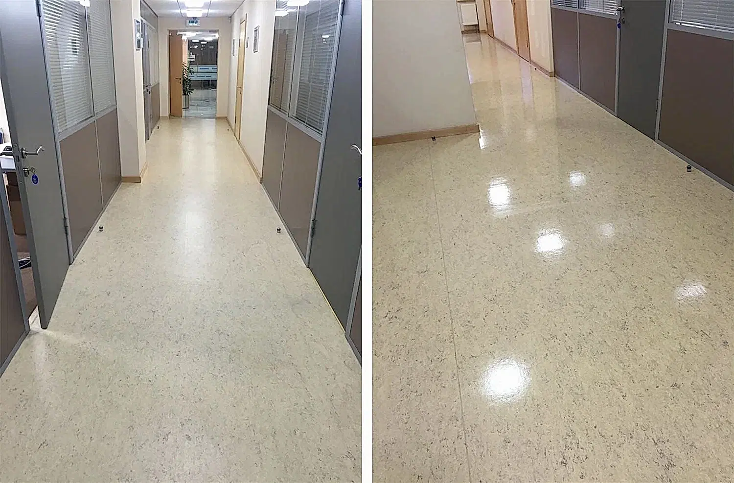 Дезинфицирующая уборка офисного помещения Дезинфицирующая уборка офисного помещения