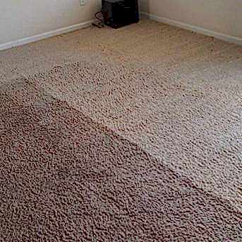 Чистка коврового покрытия в офисе