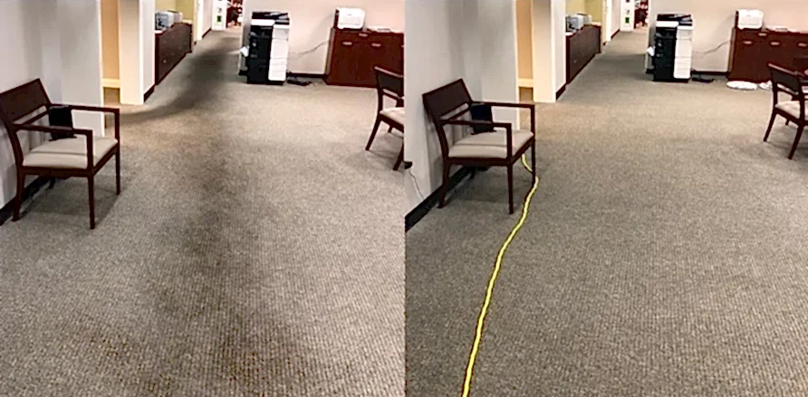 Чистка коврового покрытия в офисе