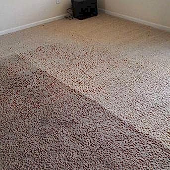 Чистка коврового покрытия в офисе