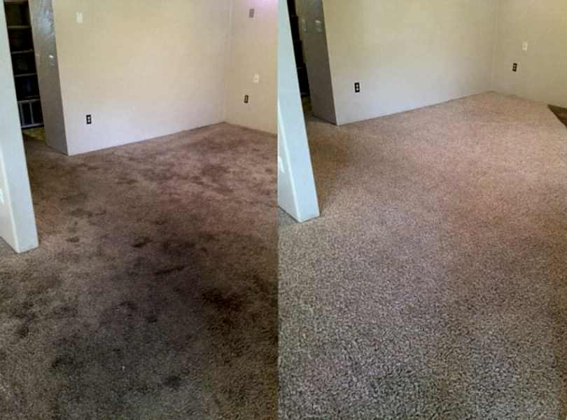 Химчистка ковролина в офисе