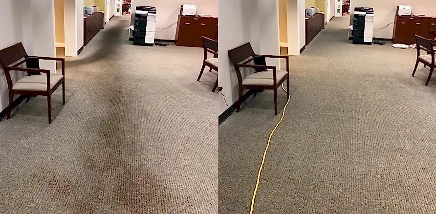 Чистка коврового покрытия в офисе