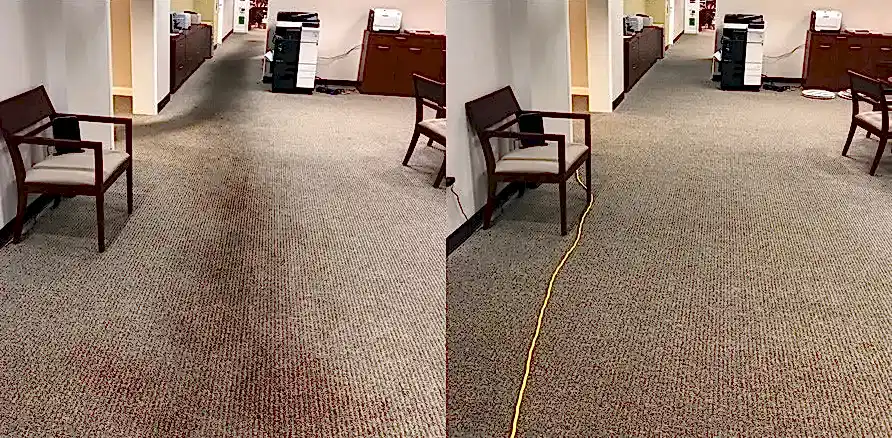 Чистка коврового покрытия в офисе
