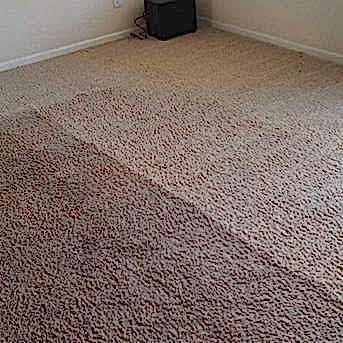 Чистка коврового покрытия в офисе