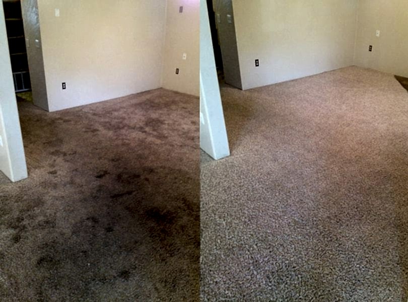 Химчистка ковролина в офисе