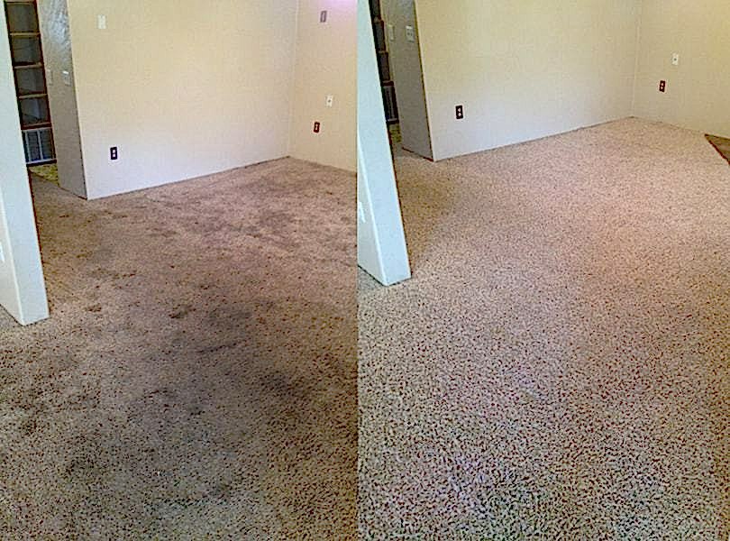 Химчистка ковролина в офисе