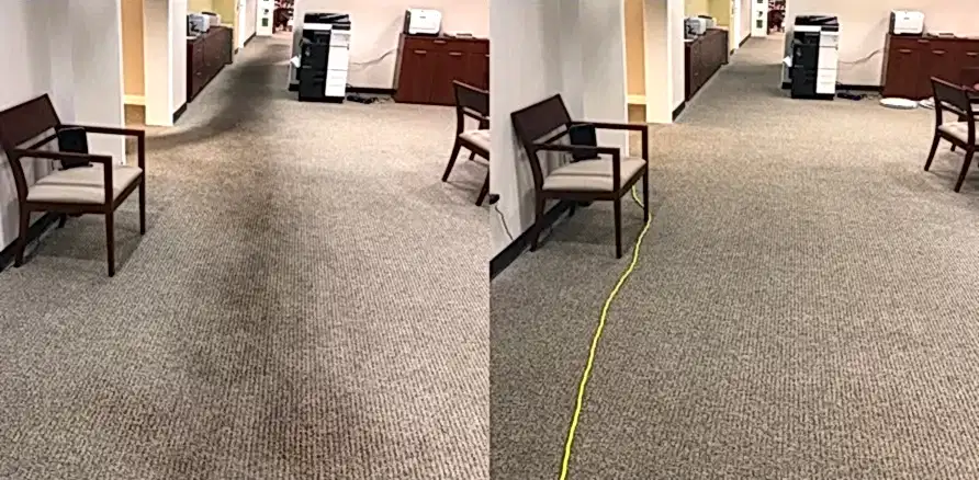 Чистка коврового покрытия в офисе