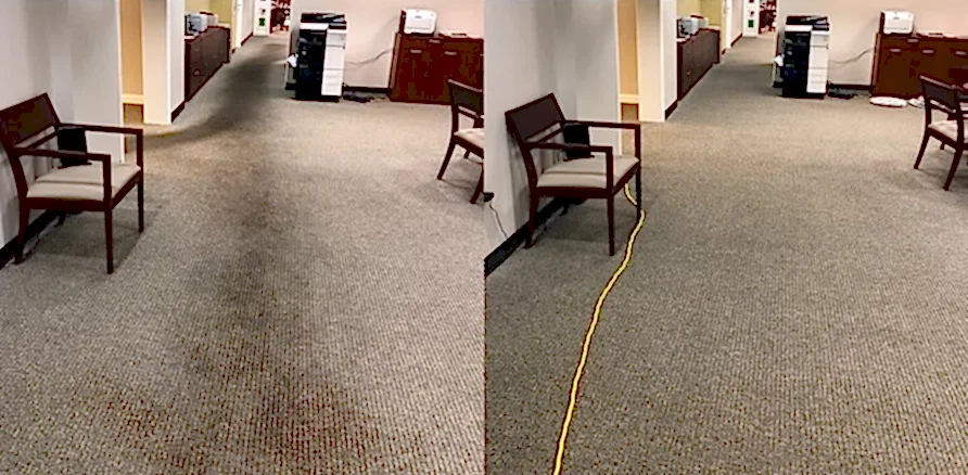Чистка коврового покрытия в офисе