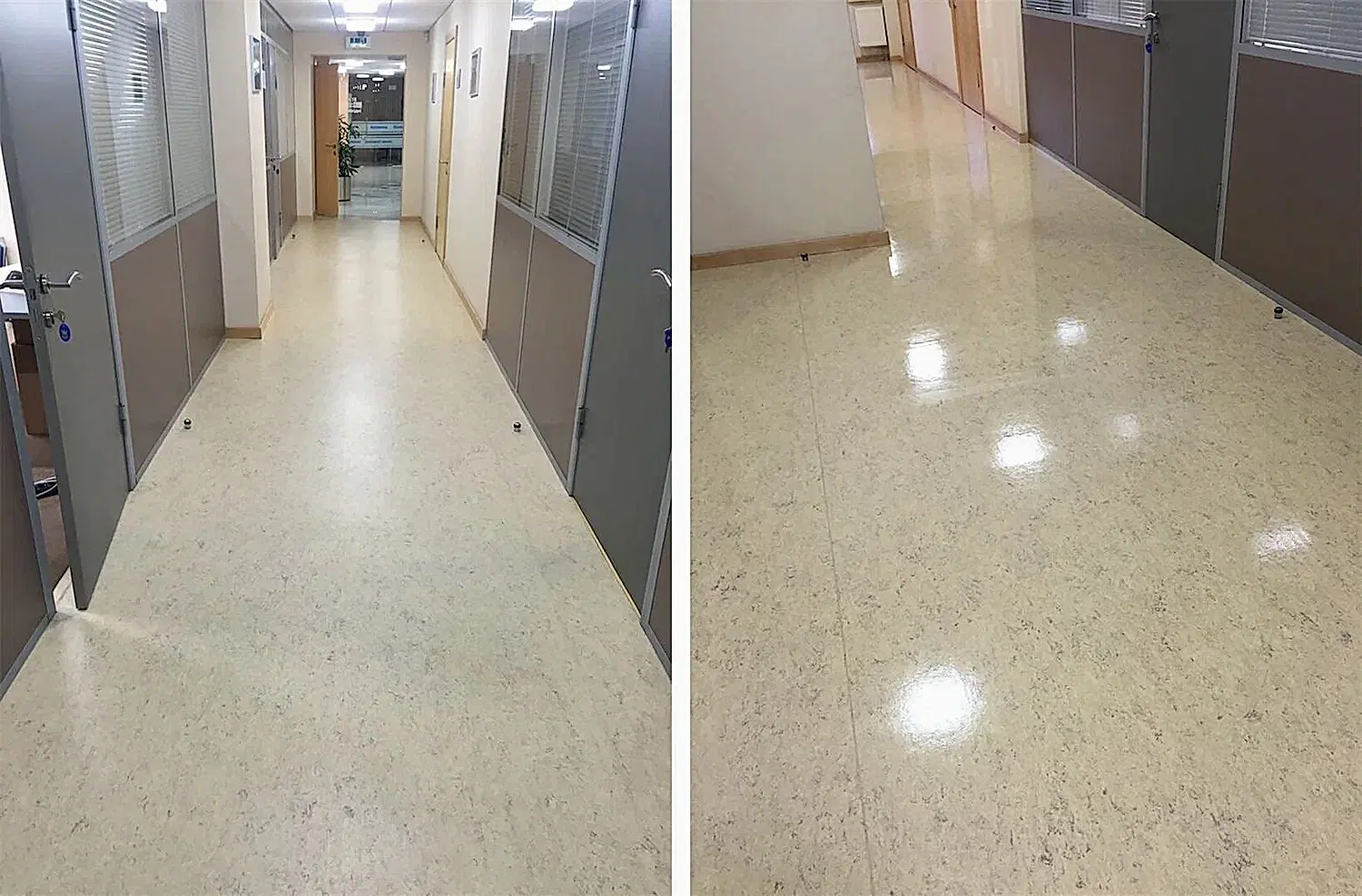 Дезинфицирующая уборка офисного помещения