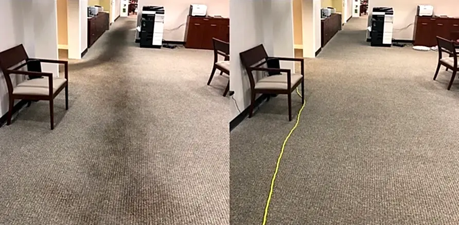 Чистка коврового покрытия в офисе