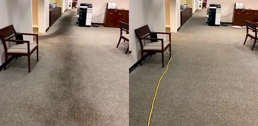 Чистка коврового покрытия в офисе