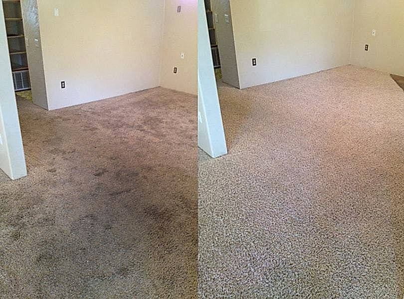 Химчистка ковролина в офисе