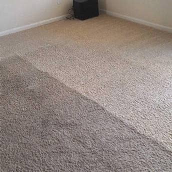 Чистка коврового покрытия в офисе