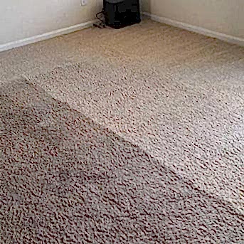 Чистка коврового покрытия в офисе