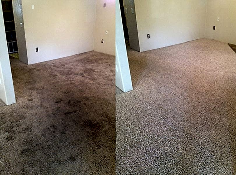 Химчистка ковролина в офисе