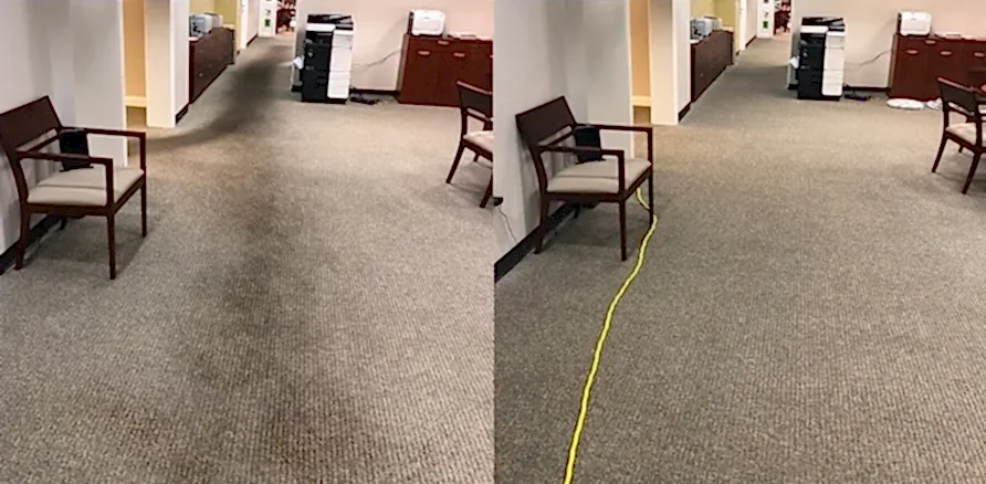Чистка коврового покрытия в офисе