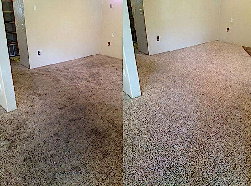 Химчистка ковролина в офисе