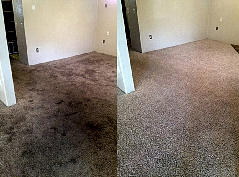 Химчистка ковролина в офисе