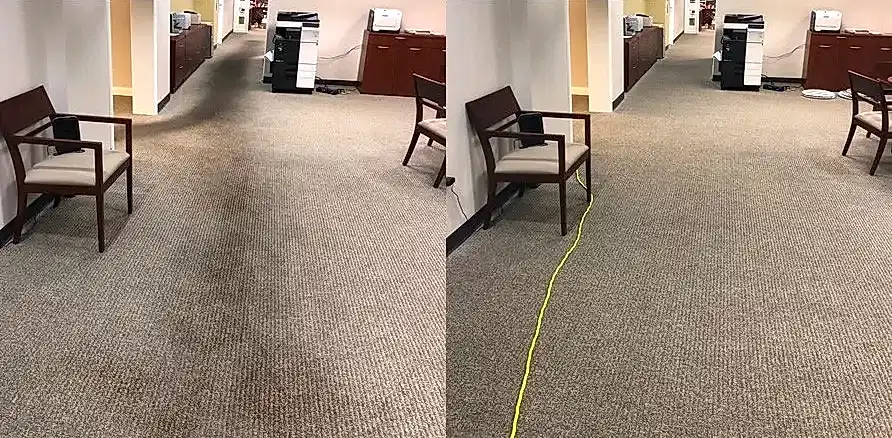 Чистка коврового покрытия в офисе