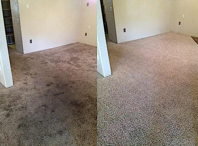 Химчистка ковролина в офисе