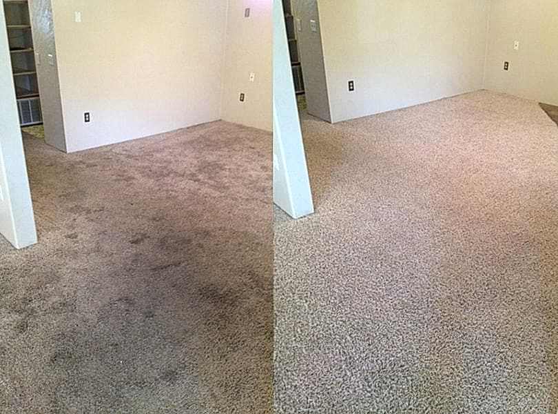 Химчистка ковролина в офисе