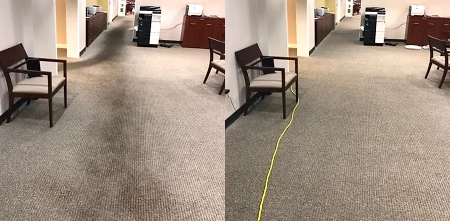 Чистка коврового покрытия в офисе