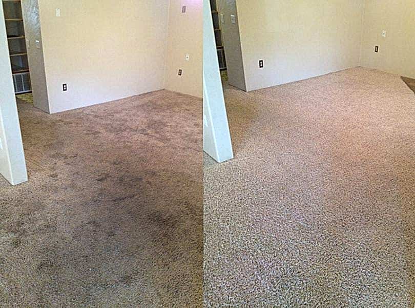 Химчистка ковролина в офисе