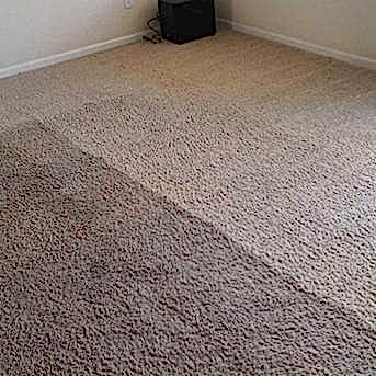 Чистка коврового покрытия в офисе