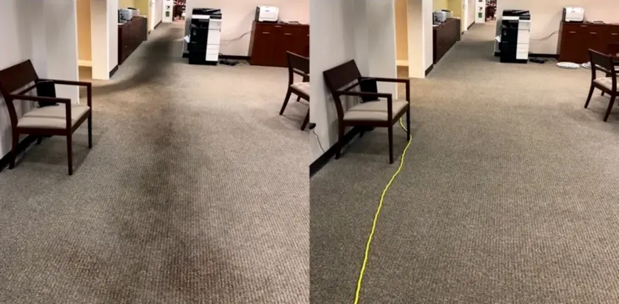 Чистка коврового покрытия в офисе