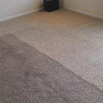 Чистка коврового покрытия в офисе