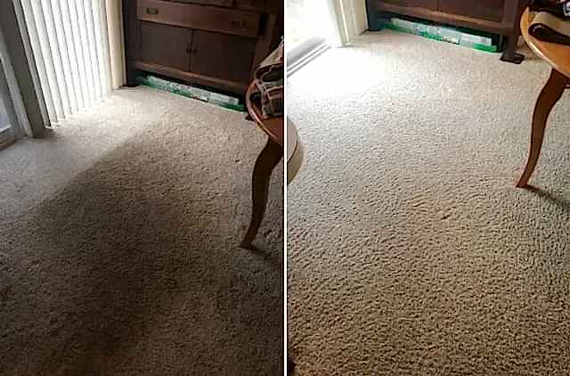 Химчистка ковра