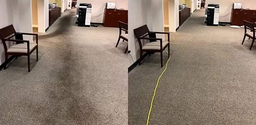 Чистка коврового покрытия в офисе