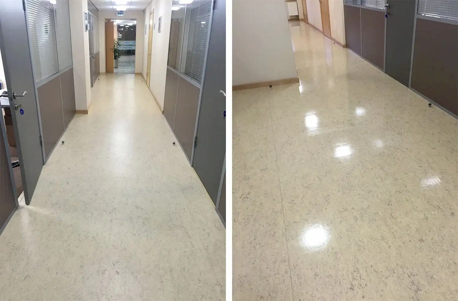 Дезинфицирующая уборка офисного помещения Дезинфицирующая уборка офисного помещения