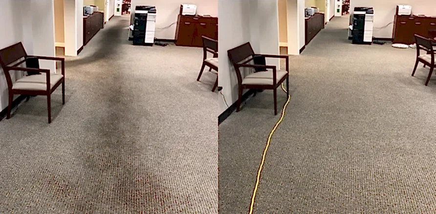 Чистка коврового покрытия в офисе