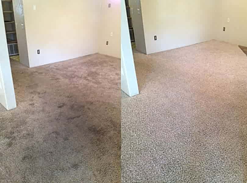 Химчистка ковролина в офисе