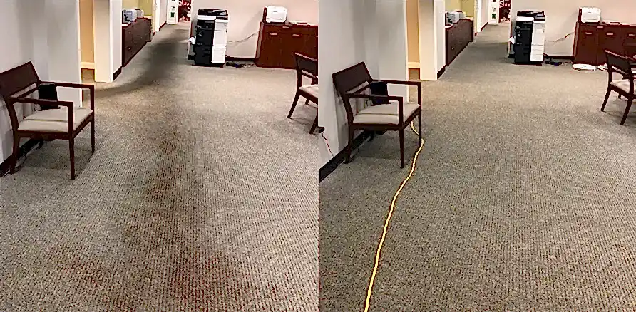 Чистка коврового покрытия в офисе