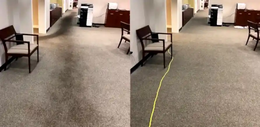 Чистка коврового покрытия в офисе