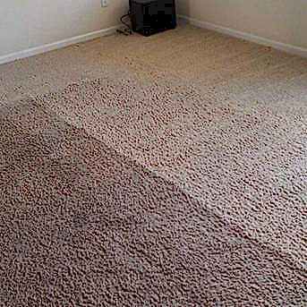 Чистка коврового покрытия в офисе