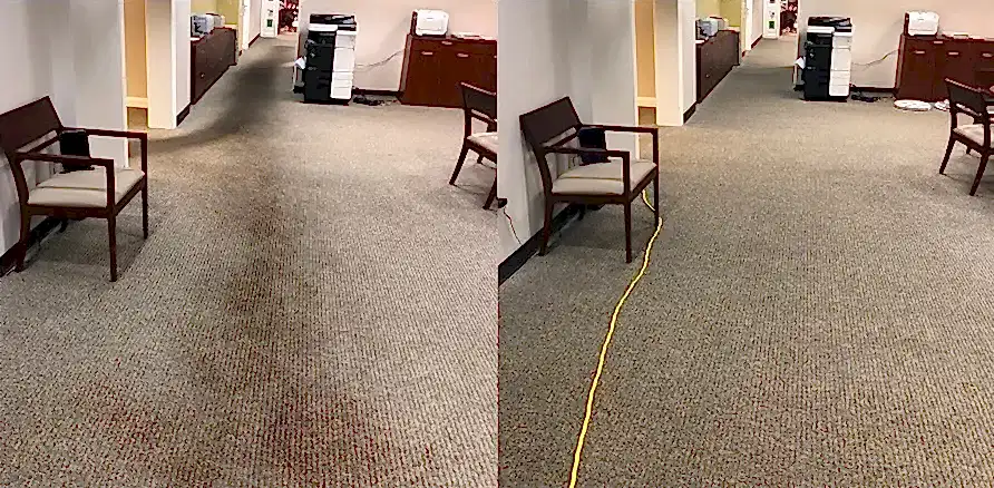 Чистка коврового покрытия в офисе