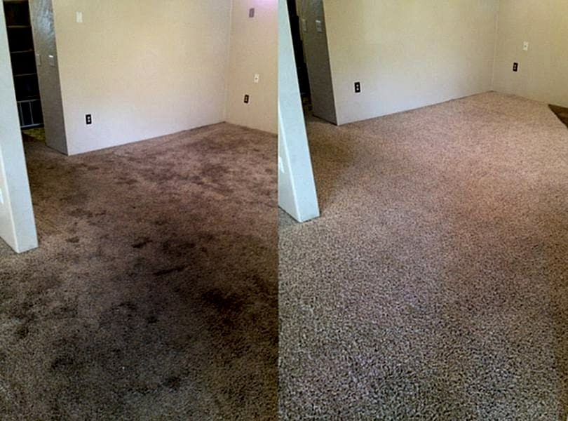 Химчистка ковролина в офисе