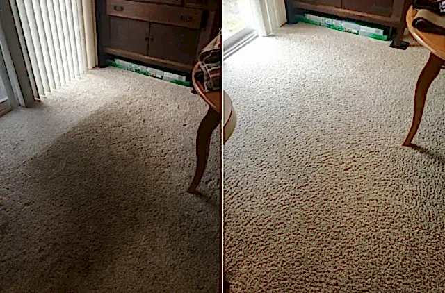 Химчистка ковра