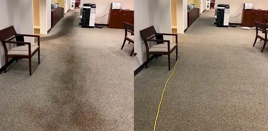 Чистка коврового покрытия в офисе