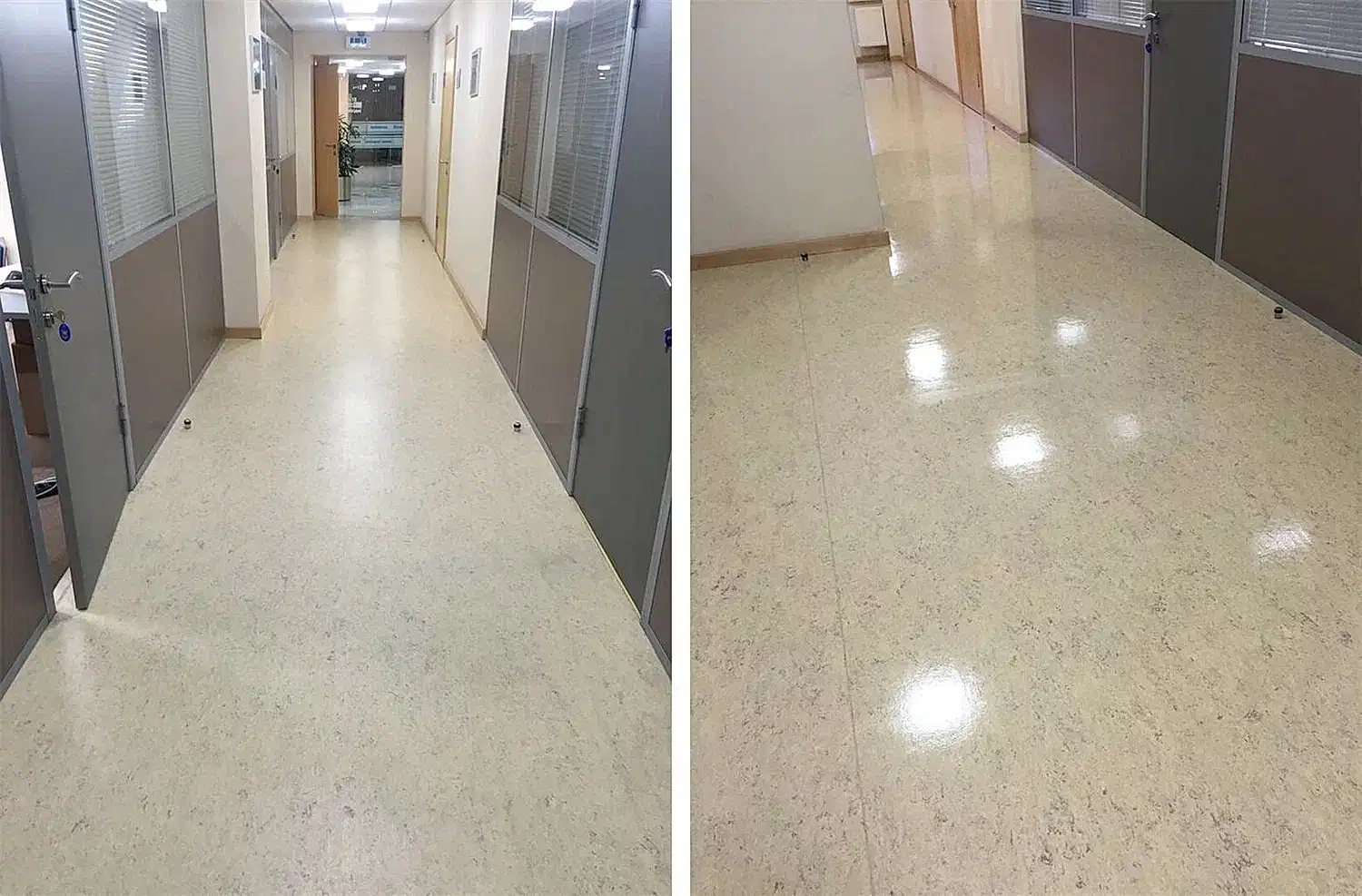 Дезинфицирующая уборка офисного помещения