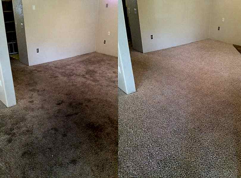 Химчистка ковролина в офисе